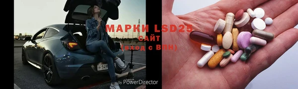 ПСИЛОЦИБИНОВЫЕ ГРИБЫ Инта
