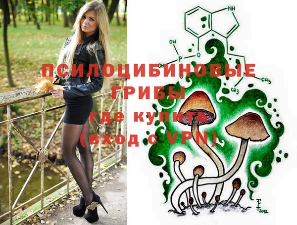 ПСИЛОЦИБИНОВЫЕ ГРИБЫ Инта