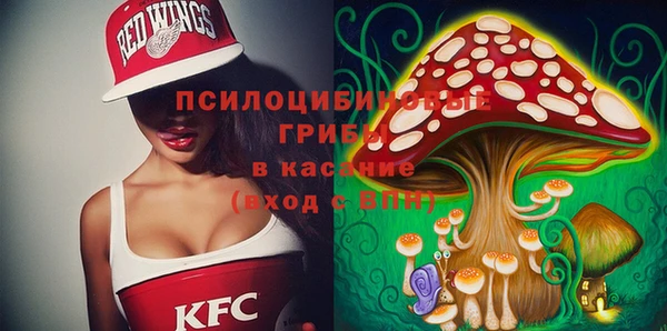 ПСИЛОЦИБИНОВЫЕ ГРИБЫ Инта