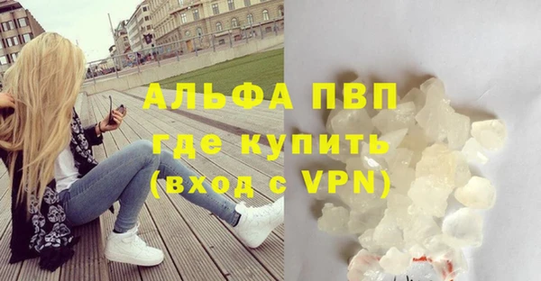 ПСИЛОЦИБИНОВЫЕ ГРИБЫ Инта