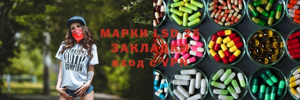 ПСИЛОЦИБИНОВЫЕ ГРИБЫ Инта