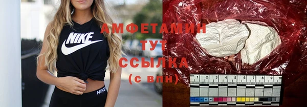ПСИЛОЦИБИНОВЫЕ ГРИБЫ Инта
