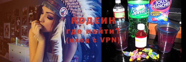 ПСИЛОЦИБИНОВЫЕ ГРИБЫ Инта