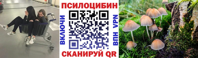 Купить закладки  Катайск  Псилоцибиновые грибы прущие грибы 